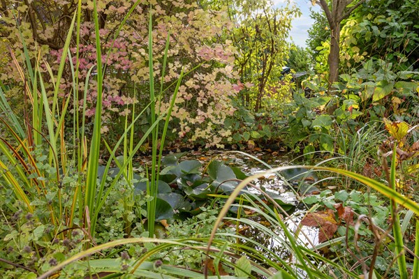 Medium property photo - Willem Dreeslaan 41, 9363 ET Marum